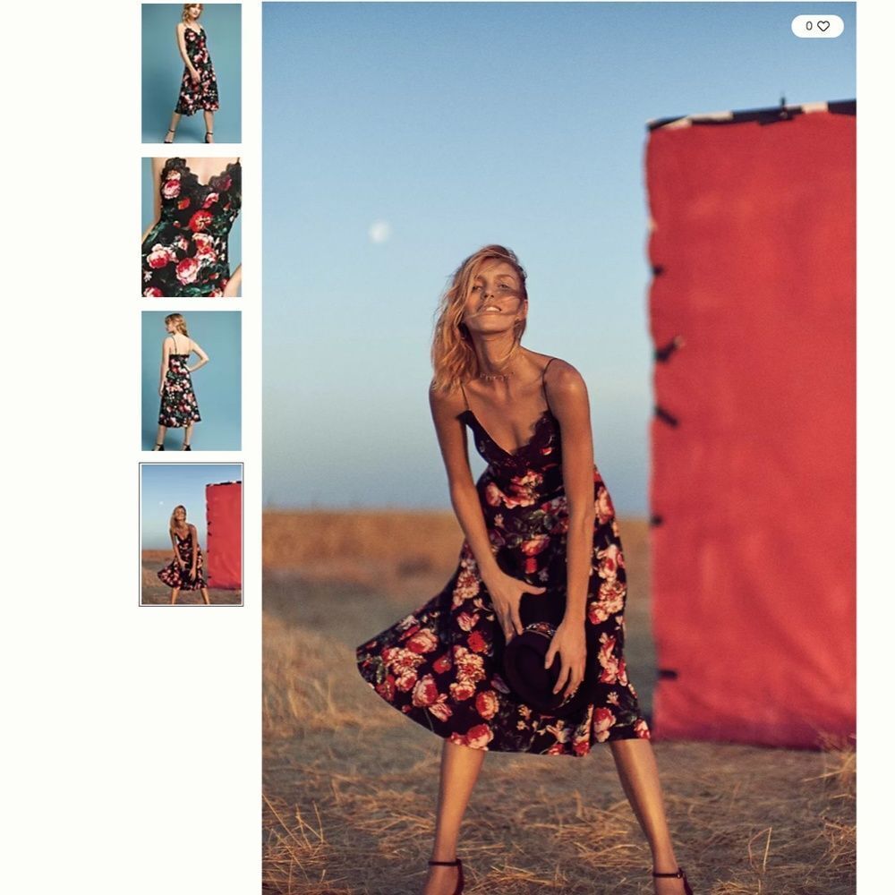 Anthropologie Foxiedox Autumnal Floral Lace Slip Dress